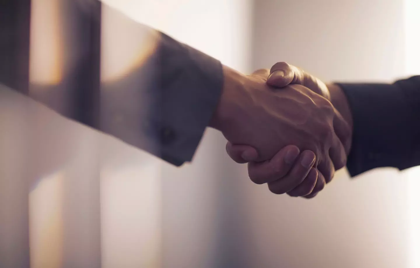 Shaking hands 